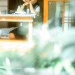 蠢沫沫全部作品下载:那些被忘却的美图珍藏。